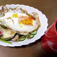 田んぼの畔に咲くタンポポのお花に紋白蝶