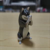 大学の講義も