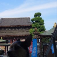 遅い昼メシに選んだのは