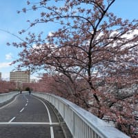 ウォーキング「白石こころーど」