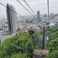 六甲布引ハーブ園。
