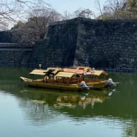 心なしか、寂しそう…