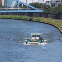 彼らがいなければ東京なんぞ　La raison de ce bateau.