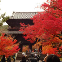 ２０２３年・南禅寺の紅葉と妖怪伝説・前編　＠　京都妖怪探訪（８６６）