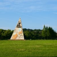 打上川治水緑地6月