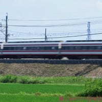 電車走る風景　蒼苗の先に