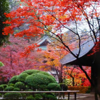 埼玉県新座市平林寺