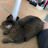 そばに来てくれました。