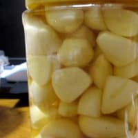 早朝の生け垣剪定
