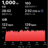 スイム１０００ｍ