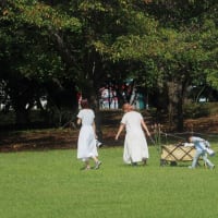 北総花の公園