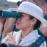 両陛下　ホスタイ国立公園～帰国