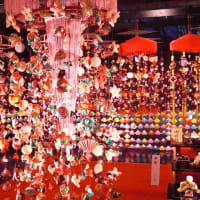 エイルで行く大人のゆとり旅