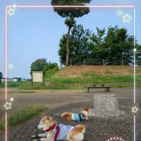 昨日はお墓参り