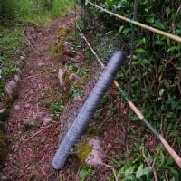 防獣柵を初めて金網にする