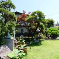 島津公と深縁の浄土宗寺院「松風山晴雲寺」