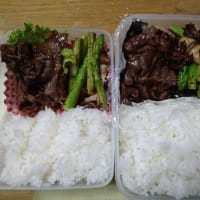 我が家のお弁当　2025/06/22とその前