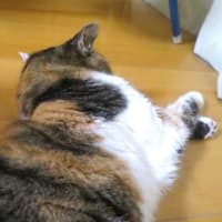 「ジュリアの篭絡法」