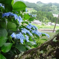 名言　”な”と”に”の間に”あ”を入れる