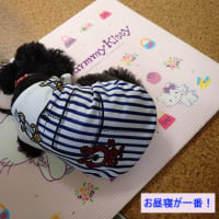 元気な声が