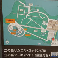 江ノ島シーキャンドルのウッドデッキがピカピカに！
