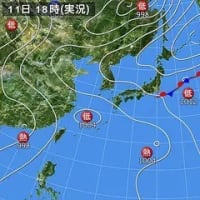 7月11日(金)