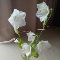 今日は曇り？