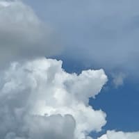 アメリカで子供から育っていく時に
