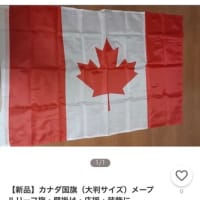 もみじ旗🍁を勧められてしまいました