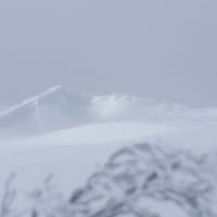 冬の白神山地　田代岳