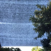 梅雨が明け、デッキの上に寒冷紗を懸ける