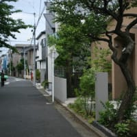 家とモランディとロマネスク