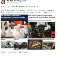 今度は、鹿児島県薩摩川内市内の養鶏場が狙われました。