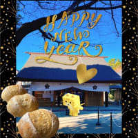 新年おめでとうございます