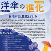 洋傘の進化