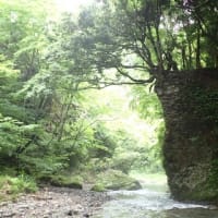 期待外れの雨後釣行