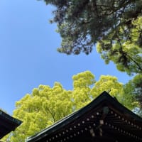 そういうオチでよかった / 前島神社へ行ってきた