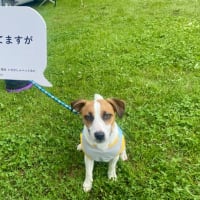 マーレの本音？