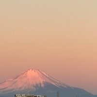 あけぼのの富士