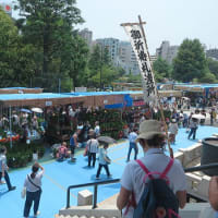 金龍山浅草寺の酸漿市