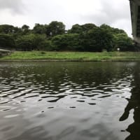 十数年振りに