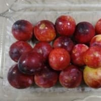 息子たちの家族から送られた、父の日のプレゼント・・・。