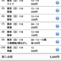 競馬Ｇ３　シルクロードステークス　根岸ステークス　最終予想と買い目