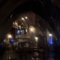 USJ⭐︎夜ユニバ楽しんできました♪