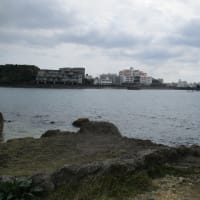 プロテオフォームとは？