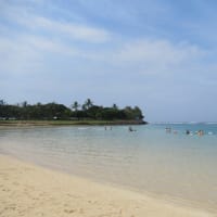 明日こそは海へ！
