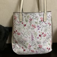 何故か自分のカバンを買いました。