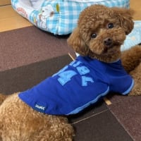 術後2日目