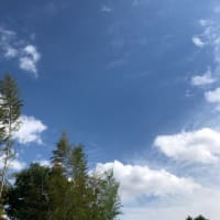 灰色の空とは違い・・・