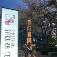 お花見🌸クルーズ